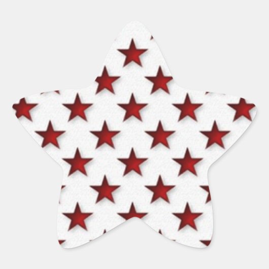愛国的ステッカー 星シール (正面)