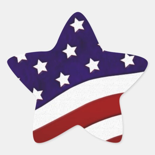 愛国的ステッカー 星シール (正面)