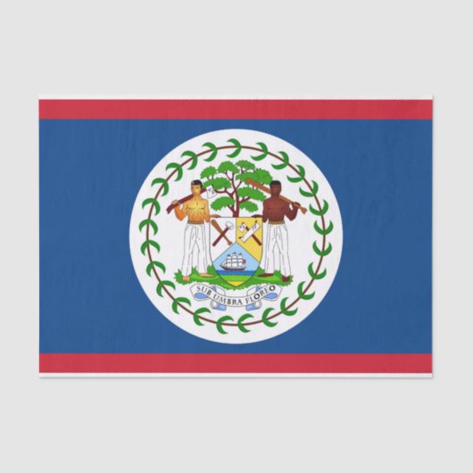 愛国的ティッシュペーパーとベリーズ国旗 薄葉紙 (正面)