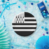 愛国的ブリタニー国旗の紙プレート ペーパープレート (パーティー)