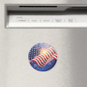 愛国的マグネット マグネット (インサイチュ (食洗機))