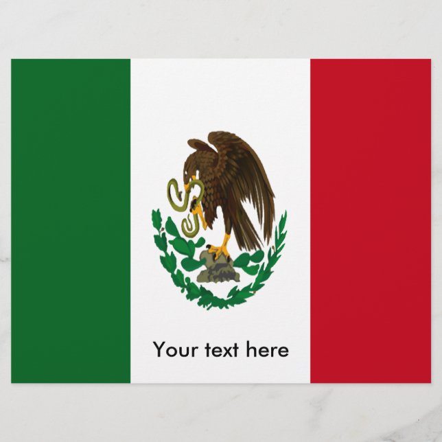 愛国的メキシコ国旗 (正面)