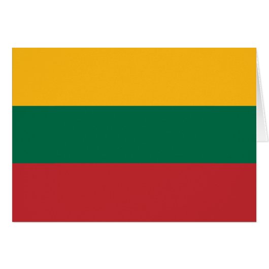 愛国的リトアニア国旗 (正面横)