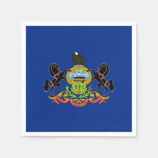 愛国的紙ナプキンとペンシルバニア州旗 スタンダードカクテルナプキン (正面)