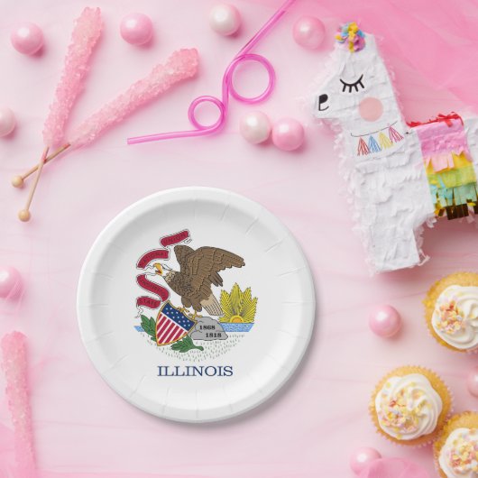 愛国的紙プレートとイリノイ州旗 ペーパープレート (パーティー)