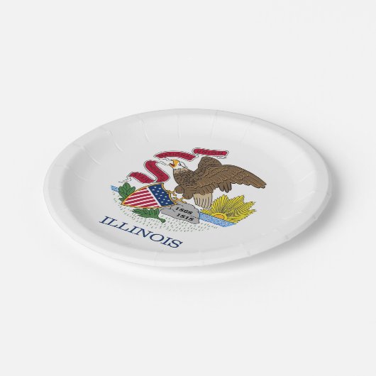 愛国的紙プレートとイリノイ州旗 ペーパープレート (アングル)