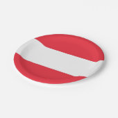 愛国的紙プレートとオーストリア国旗 ペーパープレート (アングル)