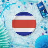 愛国的紙プレートとコスタリカ国旗 ペーパープレート (パーティー)