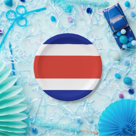 愛国的紙プレートとコスタリカ国旗 ペーパープレート (パーティー)