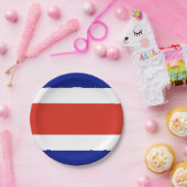 愛国的紙プレートとコスタリカ国旗 ペーパープレート (パーティー)