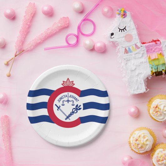 愛国的紙プレートとシンシナティ州旗。 ペーパープレート (パーティー)