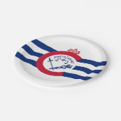 愛国的紙プレートとシンシナティ州旗。 ペーパープレート (アングル)