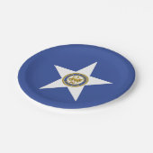 愛国的紙プレートとヒューストン国旗 ペーパープレート (アングル)