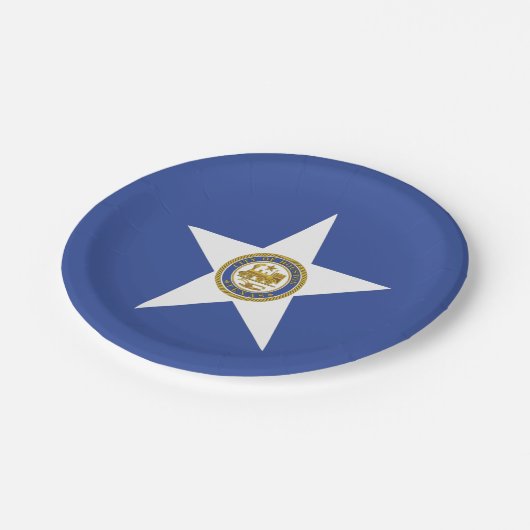 愛国的紙プレートとヒューストン国旗 ペーパープレート (アングル)