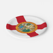 愛国的紙プレートとフロリダ州旗 ペーパープレート (アングル)