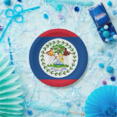 愛国的紙プレートとベリーズ国旗 ペーパープレート (パーティー)