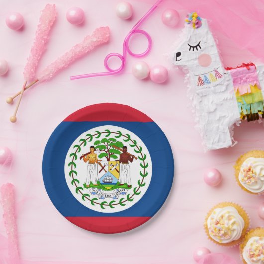 愛国的紙プレートとベリーズ国旗 ペーパープレート (パーティー)