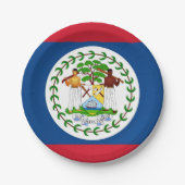 愛国的紙プレートとベリーズ国旗 ペーパープレート (正面)