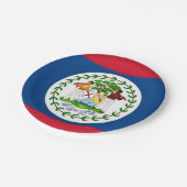 愛国的紙プレートとベリーズ国旗 ペーパープレート (アングル)