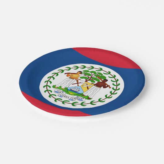 愛国的紙プレートとベリーズ国旗 ペーパープレート (アングル)