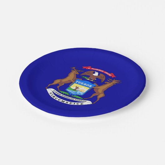 愛国的紙プレートとミシガン州旗 ペーパープレート (アングル)