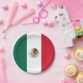 愛国的紙プレートとメキシコ国旗 ペーパープレート (パーティー)