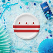 愛国的紙プレートとワシントンDC国旗 ペーパープレート (パーティー)