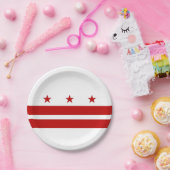 愛国的紙プレートとワシントンDC国旗 ペーパープレート (パーティー)