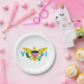 愛国的紙プレートとヴァージン諸島国旗 ペーパープレート (パーティー)