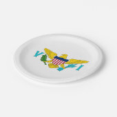 愛国的紙プレートとヴァージン諸島国旗 ペーパープレート (アングル)