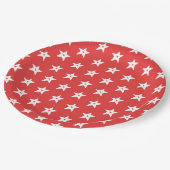 愛国的赤と白な星とハート ペーパープレート (アングル)