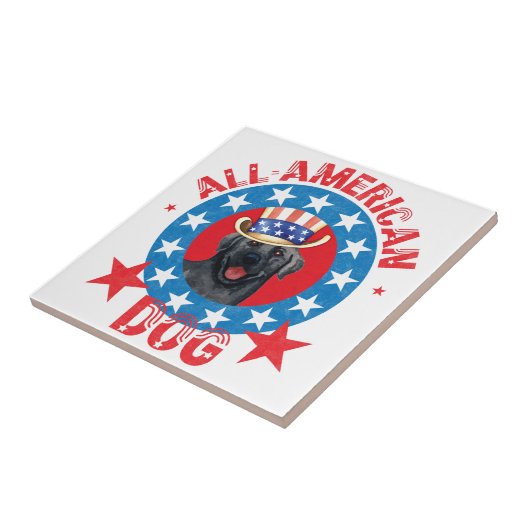 愛国的黒人研究所 タイル (側面)