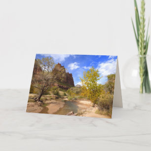 「愛国者裁判所」, Zion NP, 空白の Greeting カード