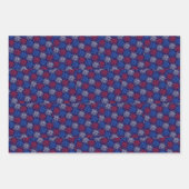 愛国花火 ラッピングペーパーシート (正面2)