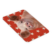 愛国農場 – 豚 マグネット (右側)