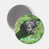 愛得か？ マグネット (正面/裏面)