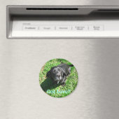 愛得か？ マグネット (インサイチュ (食洗機))