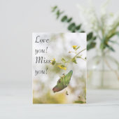 愛恋しく思者 ポストカード (スタンド正面)