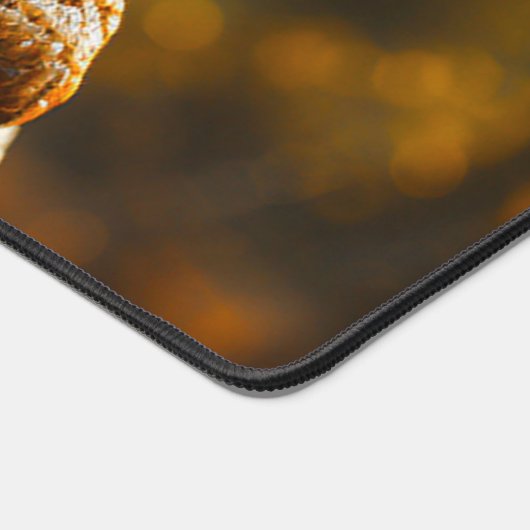 愛恐竜 デスクマット (コーナー)