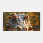 愛恐竜 デスクマット (正面)