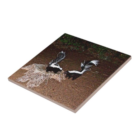 愛悪臭 タイル (側面)