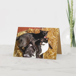 愛情あいさつカードに2匹 カード