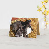 愛情あいさつカードに2匹 カード (黄色い花)