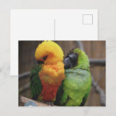 愛情あふれる鳥たち ポストカード (正面/裏面)