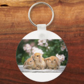 愛情に満ちたウサギ キーホルダー (正面)