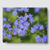 愛情に満ちた思い出で | 忘れ追悼式 ゲストブック (裏面)