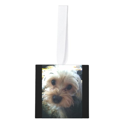 愛情のあるメモリでパーソナライズされたペットの損失写真素朴 キューブオーナメント (正面)