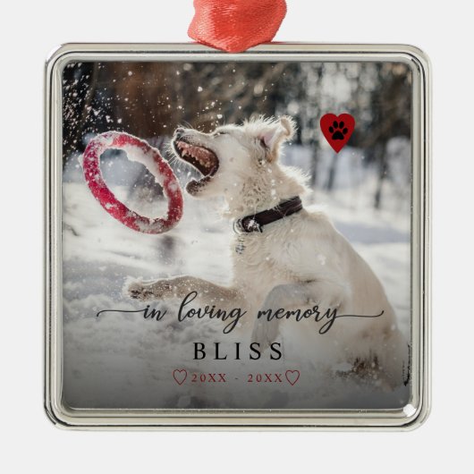 愛情のあるメモリでペットの写真のポー印刷モノグラム セラミックオーナメント (正面)