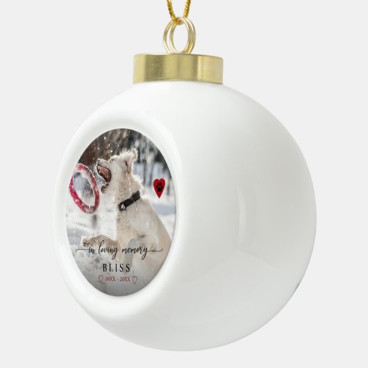 愛情のあるメモリでペットの写真のポー印刷モノグラム セラミックボールオーナメント (右)