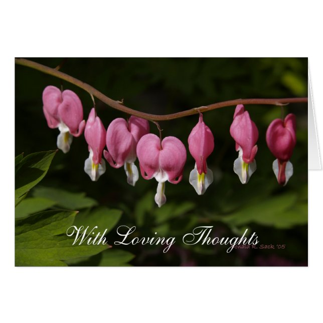 愛情のある思考を使って (正面横)